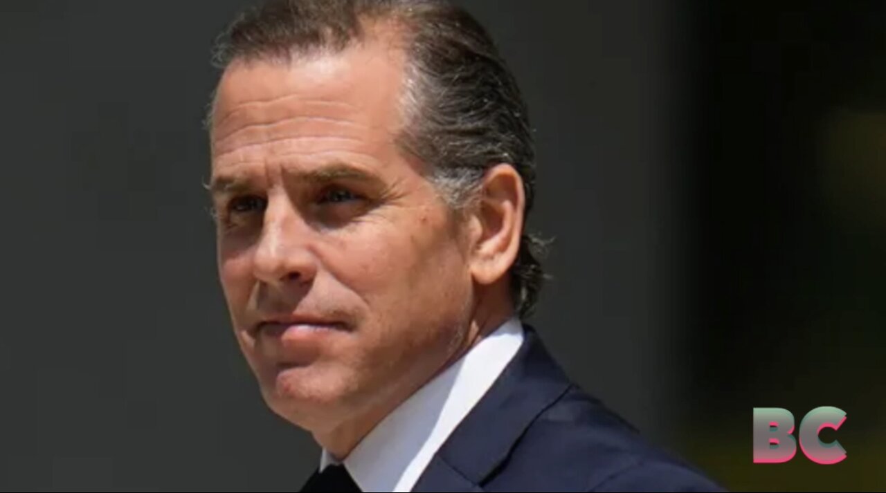 DOJ shredded for ‘inexplicable’ handling of Hunter Biden probe