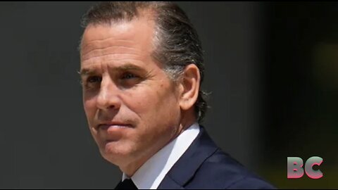 DOJ shredded for ‘inexplicable’ handling of Hunter Biden probe