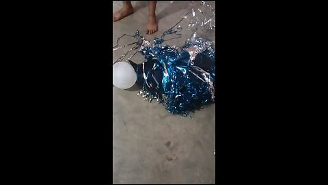 fun with dog