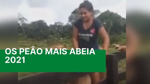 Os Peão mais Abeia do brasil 2021