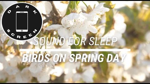Sound for sleep Birds on a Spring Day Dark Screen 3 hours