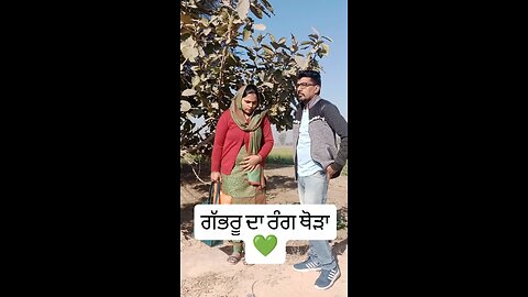 #india #love #trending #punjab #viral #pyaar #girl #bjp #yaar #aap #ਪੰਜਾਬੀ #ਮੁਟਿਆਰ #ਪਿੰਡਾਂ