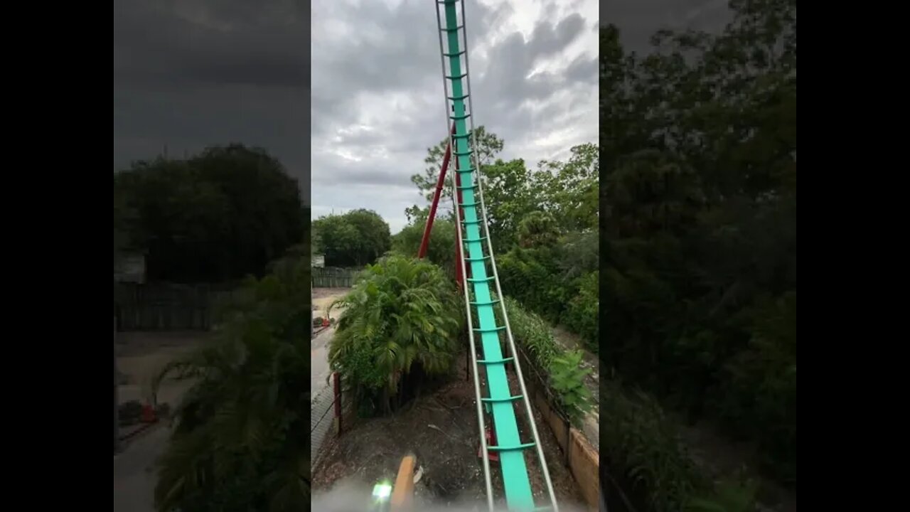 Busch Gardens Tampa #Kumba #shorts