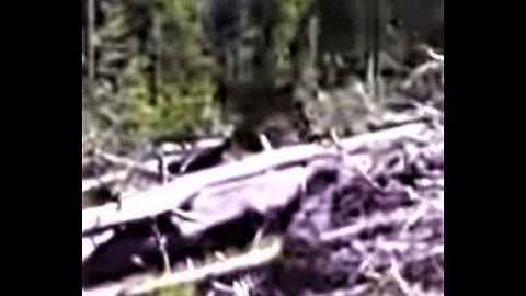 World Bigfoot Radio #129 Pt. 1 ~ Fall in the Valley of the Giants/ William L, Erik and Michael M