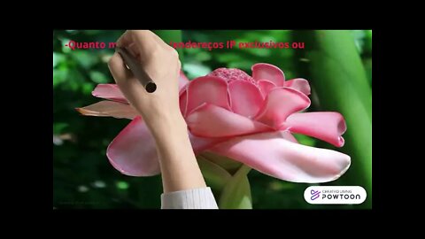 COMO FUNCIONA O PEER2PROFIT