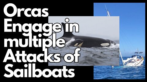 We need to respect the DANGERS of nature around us