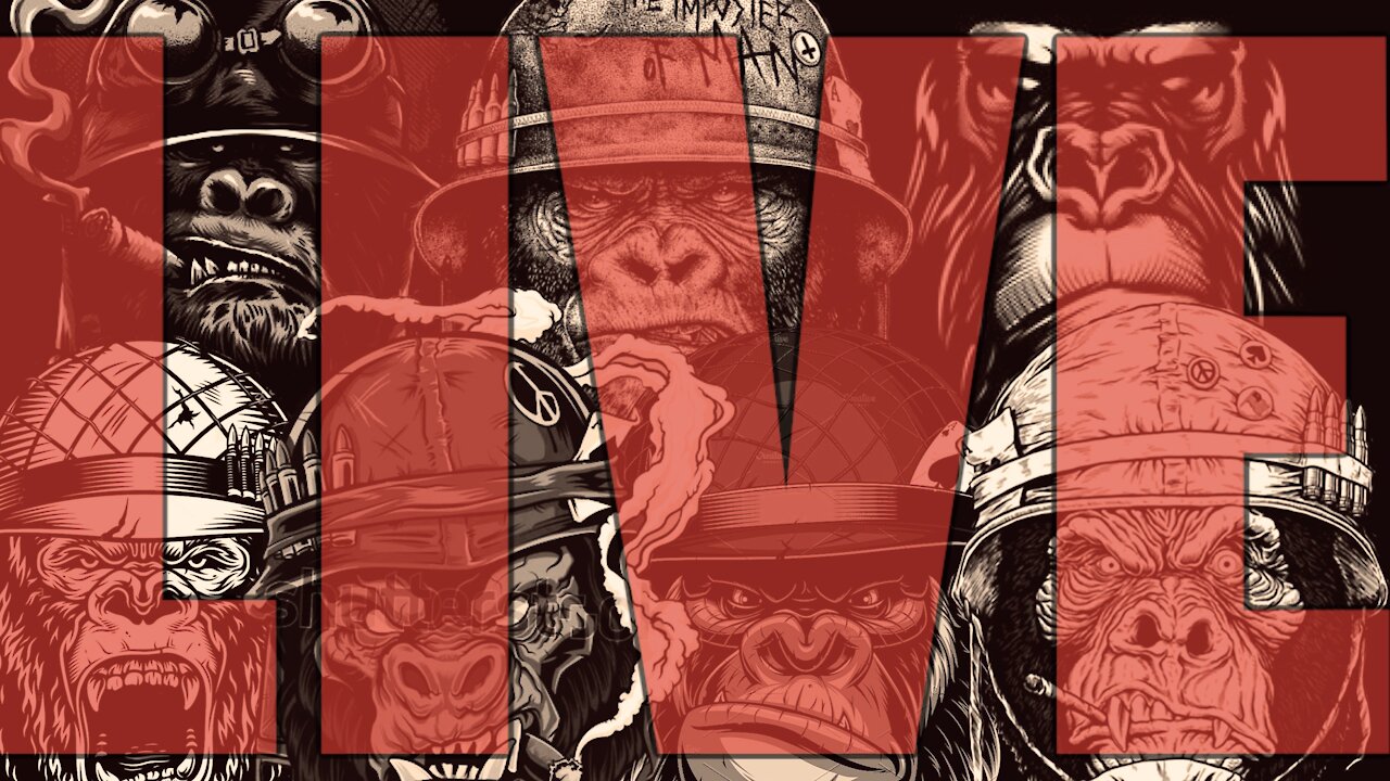 LIVESTREAM PLUG TEST