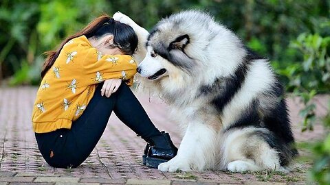 Human Love for Dogs: Understanding the Unbreakable Bond