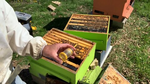 S4E11- April 18, 2021 OTS, SWARM PREVENTION + MORE: PART 1