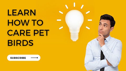 Take Your Love for Pets to the Next Level with Our Informative Introductory Video