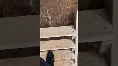 Exploring a hidden path