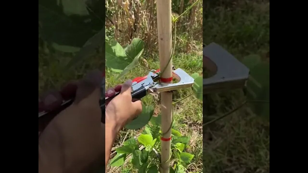 perfect machine for this