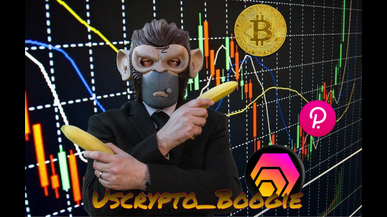 Going Live Monkeys!