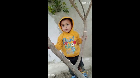 cutebabyviralvideo