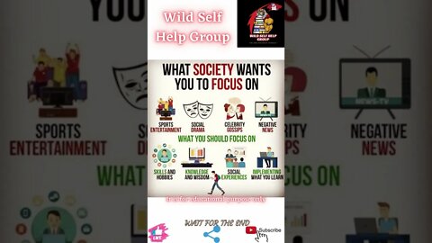 🔥What you should focus on🔥#shorts🔥#wildselfhelpgroup🔥24 May 2022🔥
