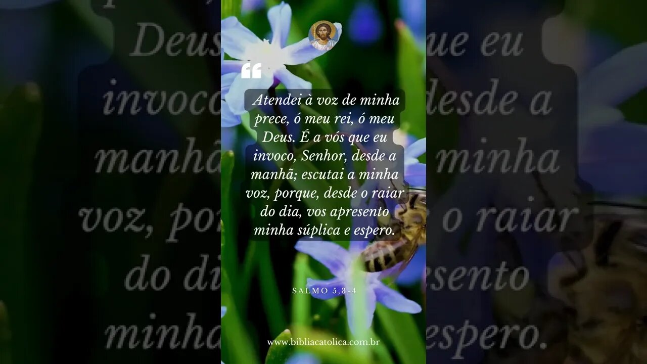 Salmo 5,3-4 - Atendei à voz de minha prece, ó meu rei, ó meu Deus. É a vós que eu invoco, Senhor, d