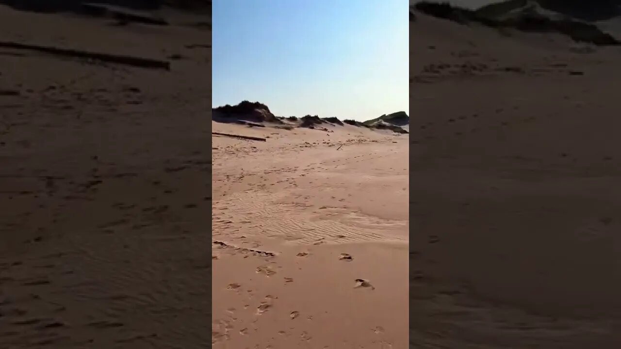 A large empty beach