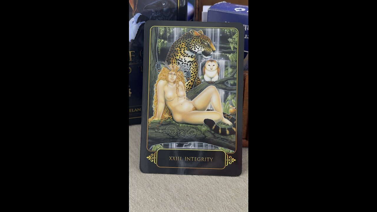 SAGITTARIUS message of the day #sagittarius #tarotary #DreamsofGaia #RavynnePhelan #dailycard