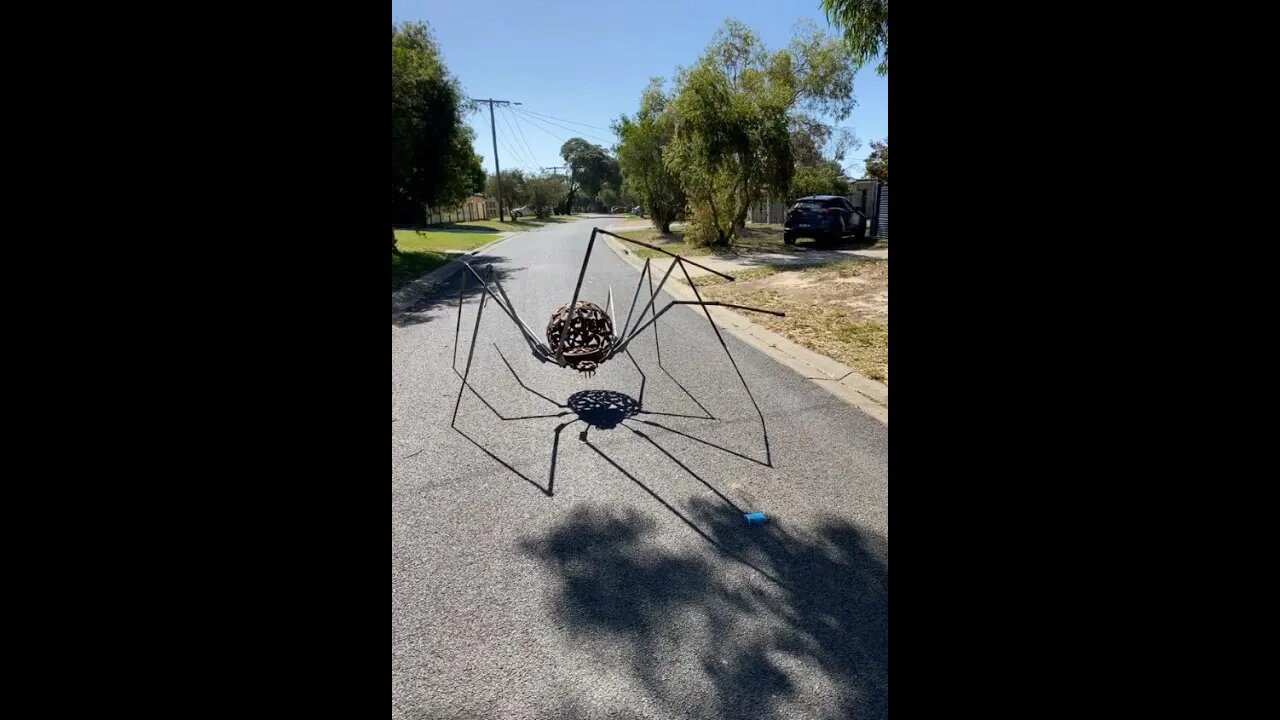 RIESIGE SPINNE LAUFEN! Hast du schon ANGST Früher gab es große Spinnen Made with Clipchamp