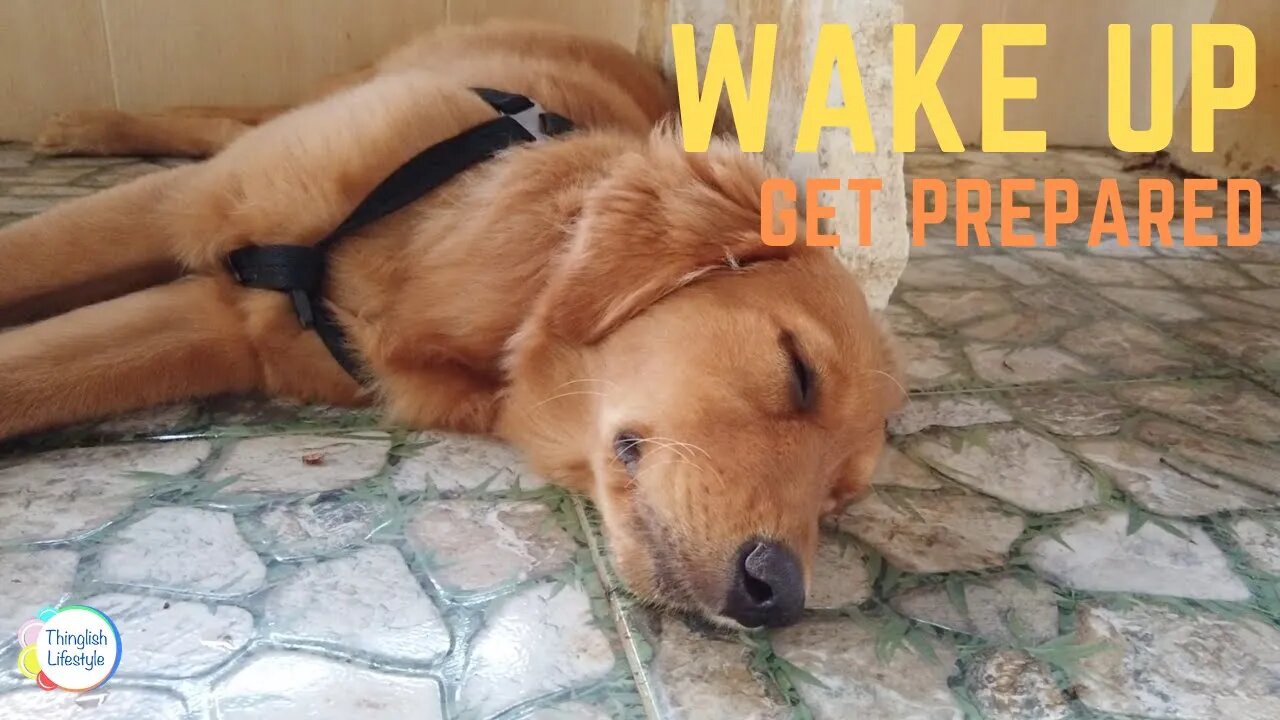 Waking Up - Getting Prepared