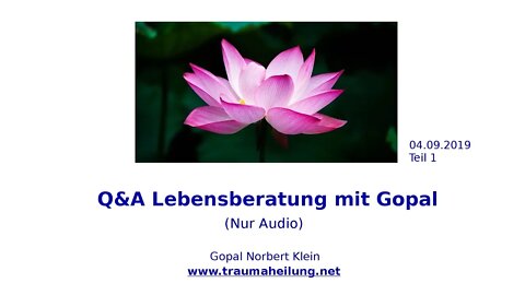 Q&A Lebensberatung mit Gopal 04.09.2019 -Teil 1