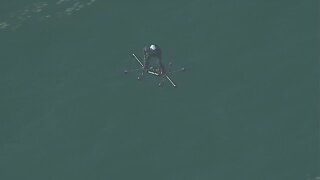 Just pack flies over the Detroit River