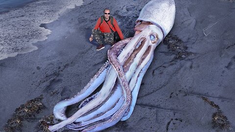 10 Biggest Sea Creatures Ever Found On The Beach