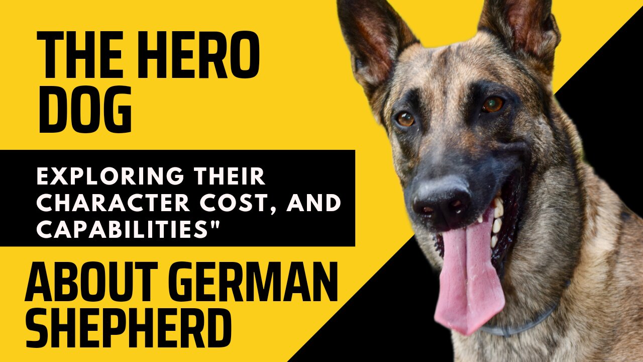 The Hero Dog The Complete Guide to Ownership of German Shepherd