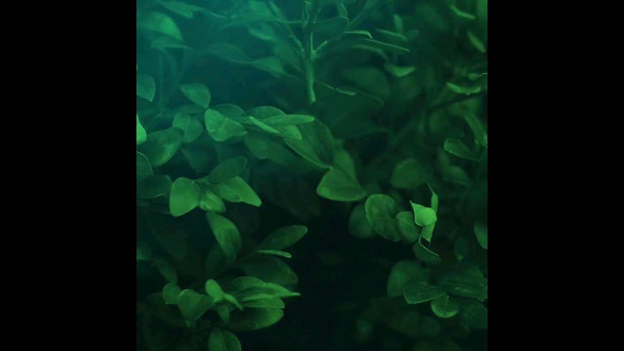 分享今日经文。 愿主与我们同在。 阿门