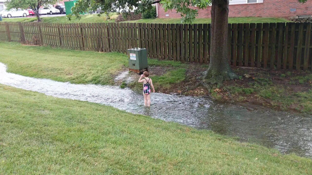 Flash thunderstorm on July 4 2020 Cassie having fun!