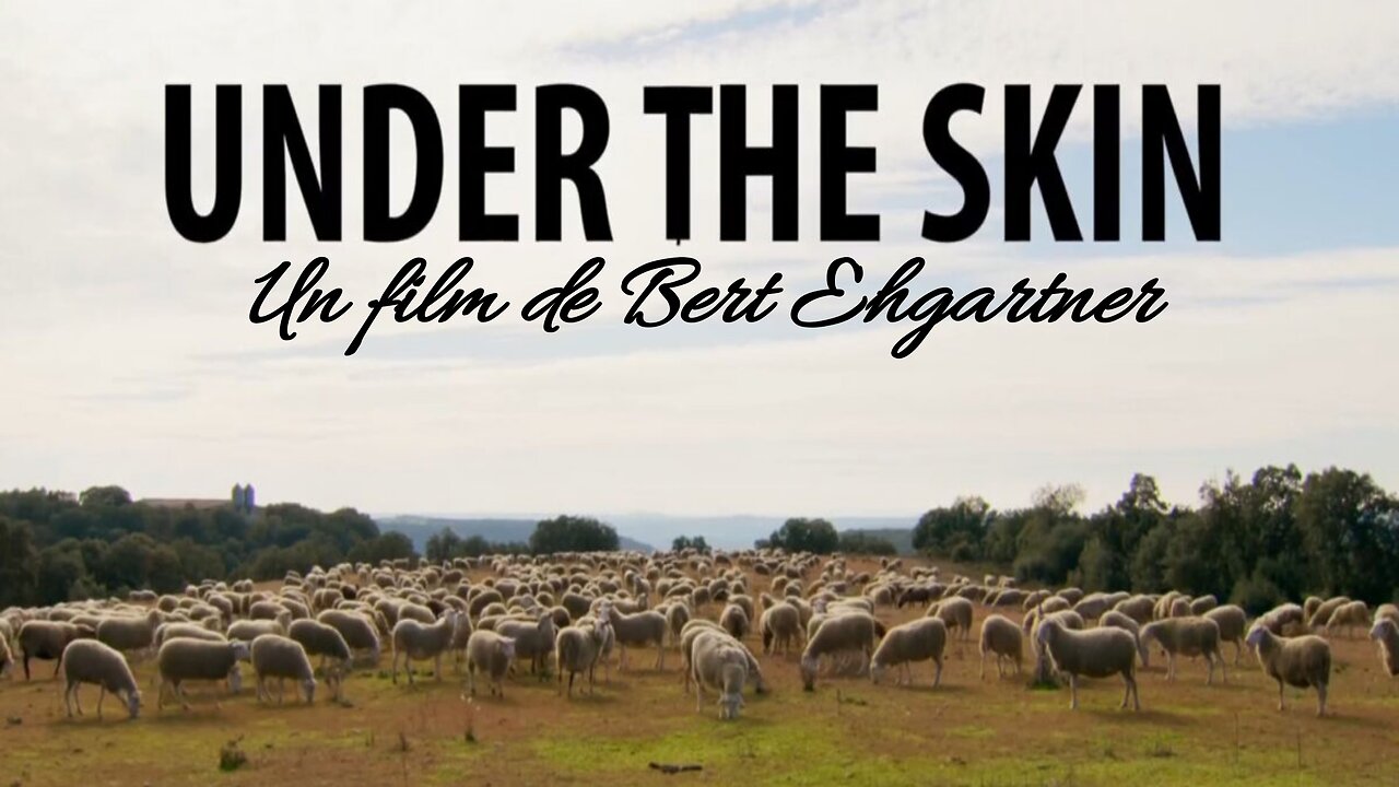 Documentaire - Sous la peau par Bert Ehgartner