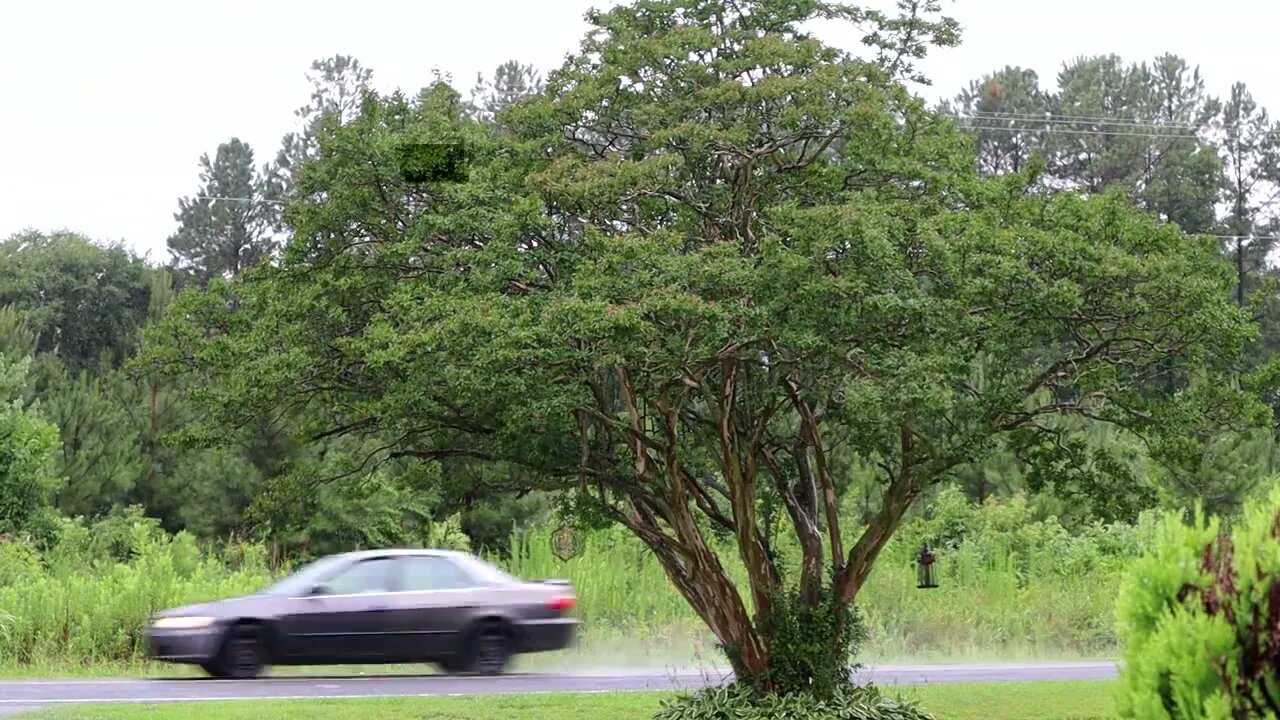 rain fast 2