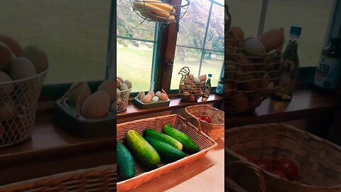 COFFEE & A GARDEN HARVEST #harvest #coffee #homestead #farmhouse #gardening #homegrown #foryou #fyp
