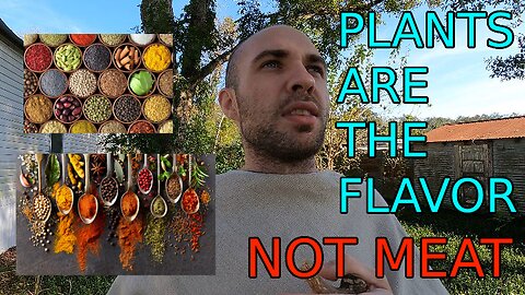 Plants(spices) give flavor, not meat