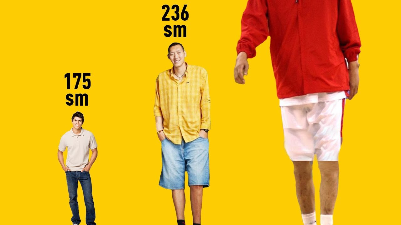 TALLEST people in the WORLD comparison - 4K