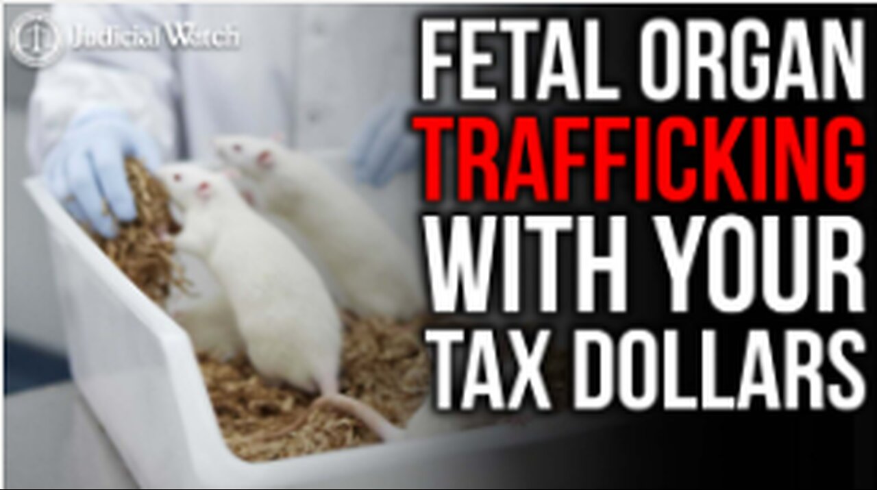 FETAL ORGAN TRAFFICKING WITH YOUR DOLLARS