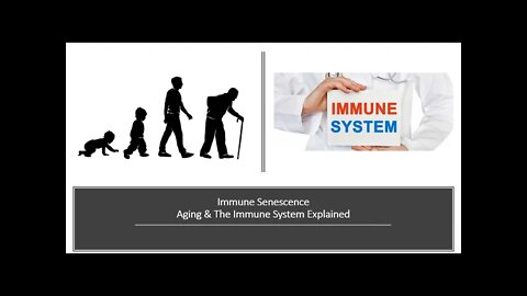 Immune Senescence & Aging Explained