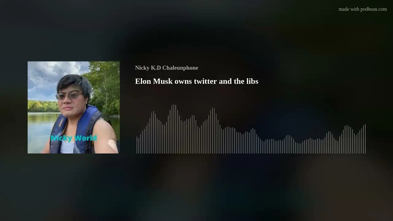 Elon Musk owns twitter and the libs