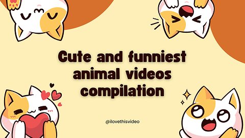 Best Funny Animal Videos of the year (2023)