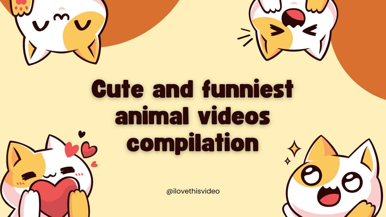 Best Funny Animal Videos of the year (2023)