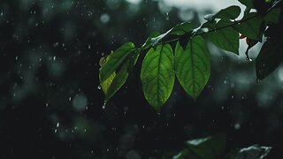 Heavy Rain with Non-stop Thunder - Sleep and Relaxing Sound