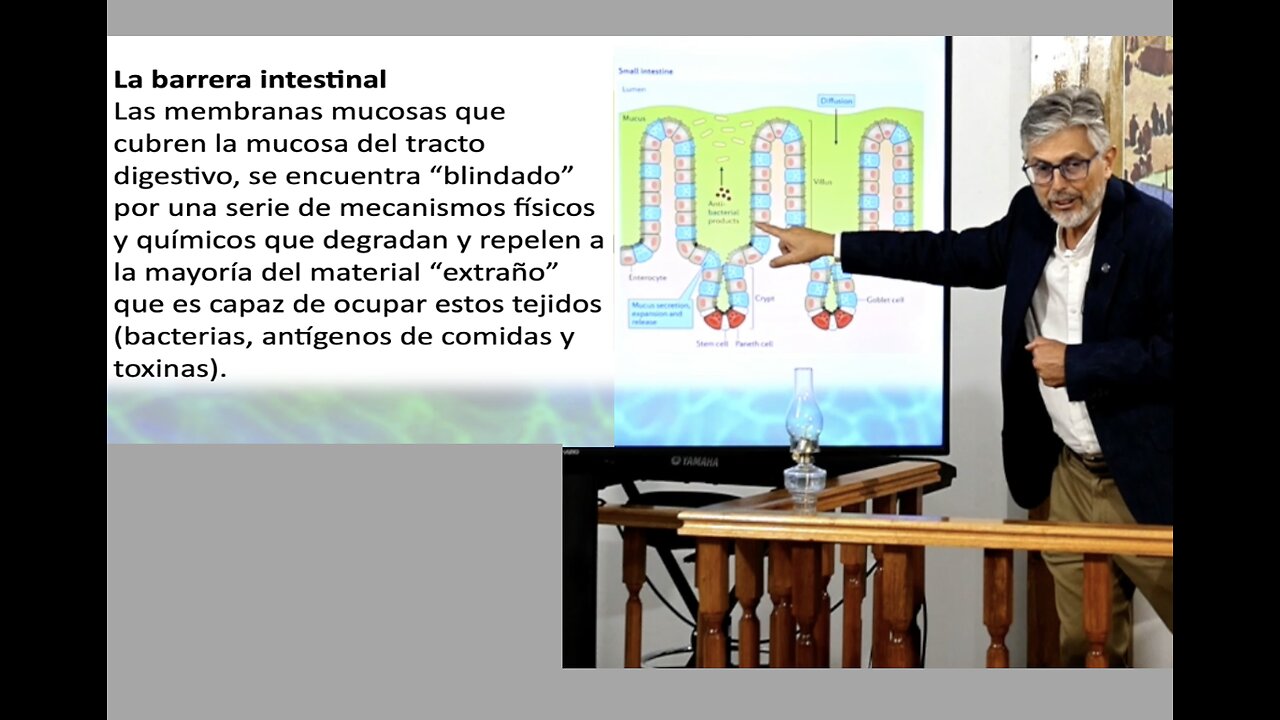 La Inmunidad Intestinal