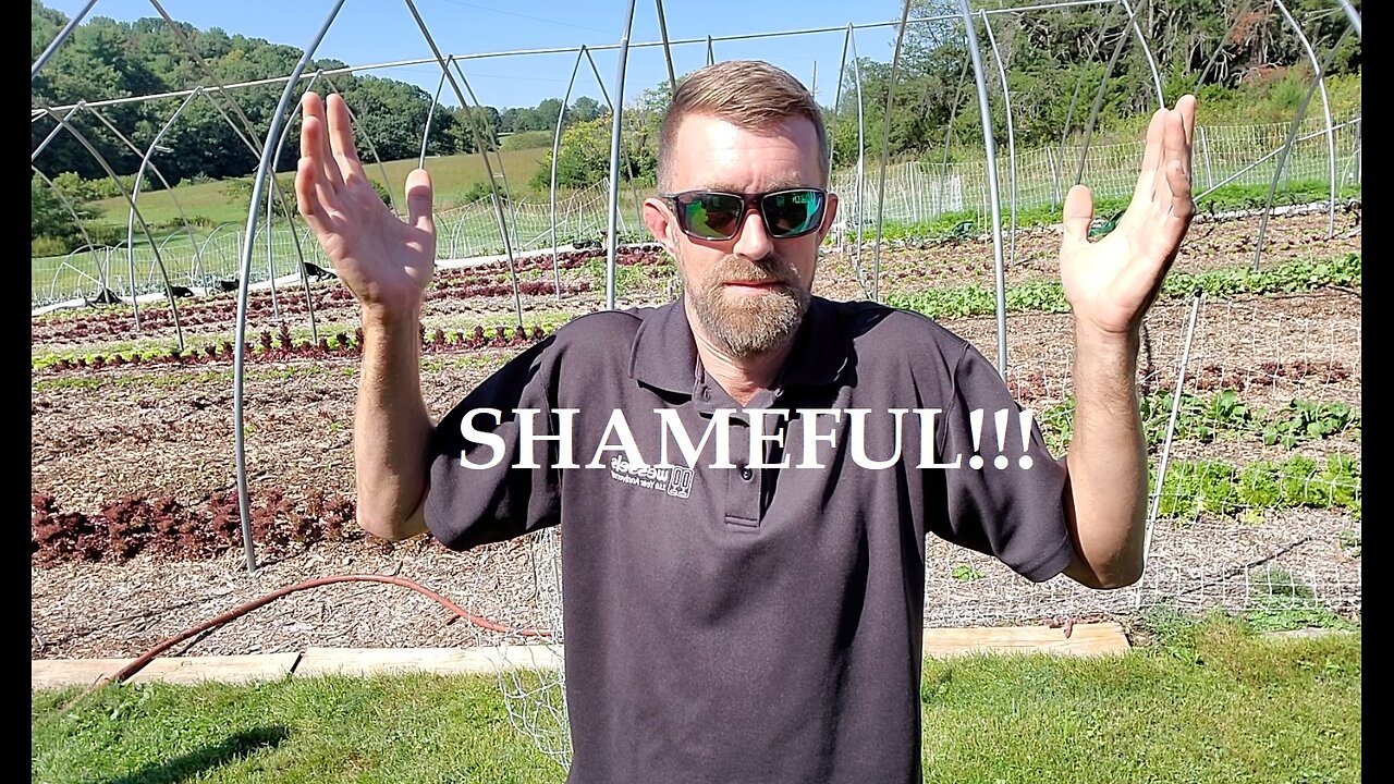 SHAMEFUL!!! Farmers' Market Update & What's Growing 9-28-23