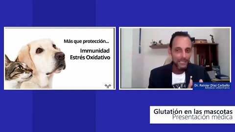 Immunocal y las mascotas con el Dr. Reinier Díaz Carballo