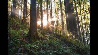 Meditation Music