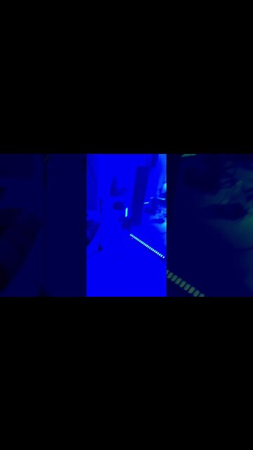 #festadecasamento #bastidores #casamento #noiva #musico #shorts #noivos #noivo #dança #show