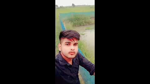 Funny videos