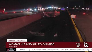 Woman hit, killed by passing car after leaving I-805 wreck