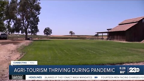 Agri-tourism thriving during pandemic