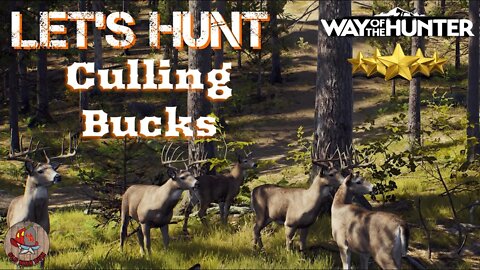 Time to CULL Some Bucks! Let's Hunt Ep. 5 - Way of the Hunter